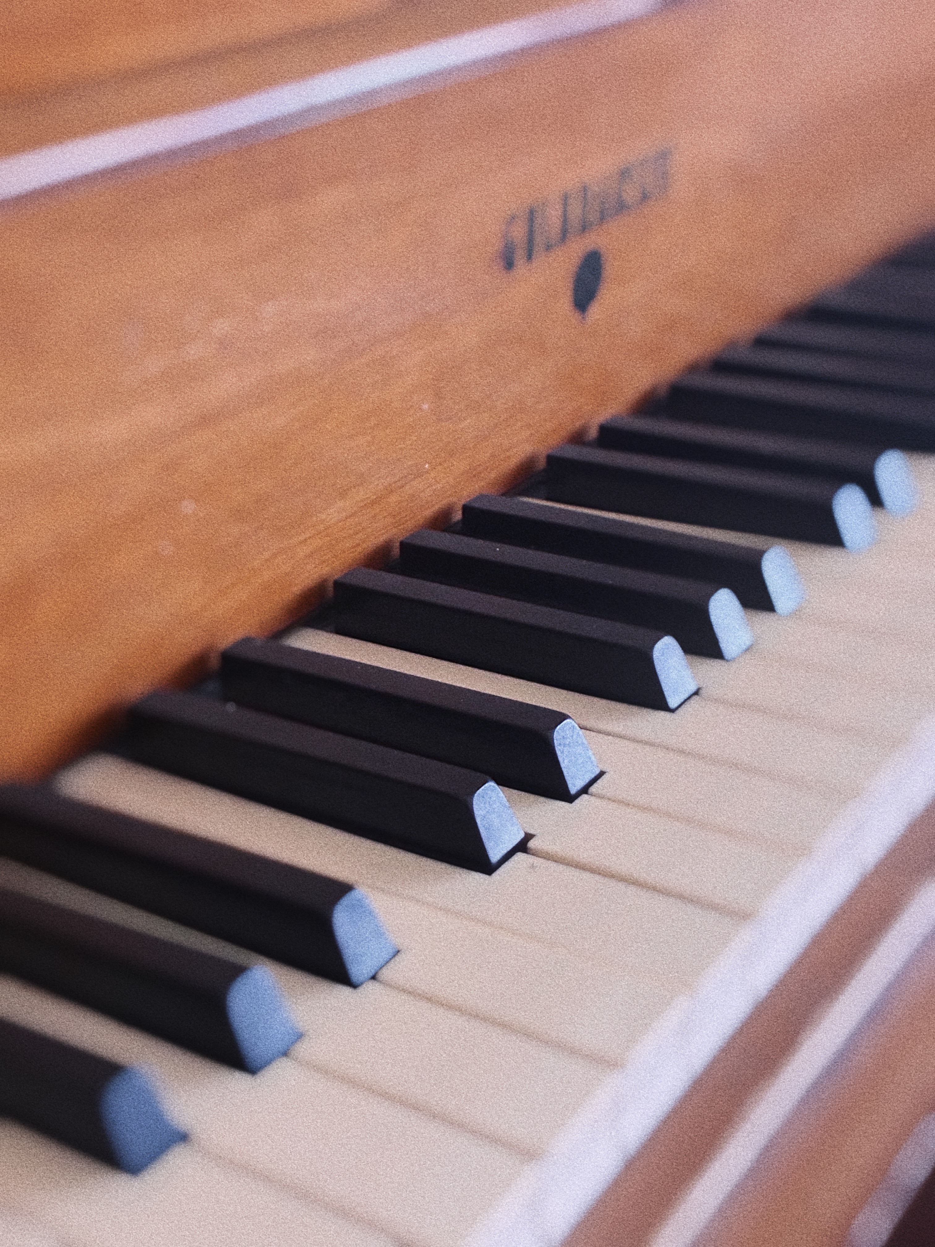 Close-up of piano keys